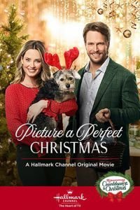   Образ идеального Рождества (2019)